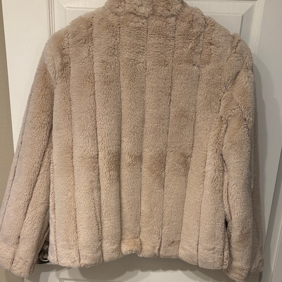 Steve Madden Cream Teddy Jacket - Picture 3 of 3